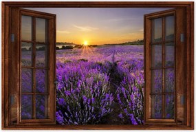 Poszterek 90x60 Levendula tájkép Nap