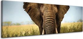 Vászonkép Elefánt a magas fűben Afrika 120x40 cm Ideális ajándék