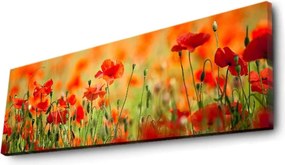 Vászonkép, 30×90 cm – TR239SHN1213