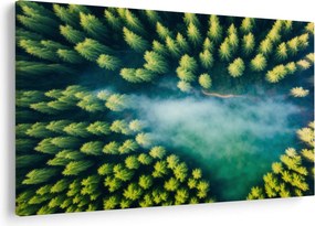 Kép - Egy ködbe burkolt erdő (90x60 cm)