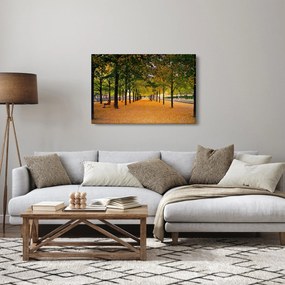 Egy kép az őszi fák sikátorából (90x60 cm)