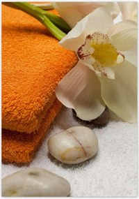 Poszterek 70x100 Törölközők Kwaity kövek