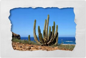 Poszterek 90x60 Kaktusz a természetben Kilátás