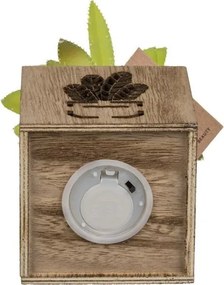 Műnövény kaspóban LED világítással 7,5x15 cm