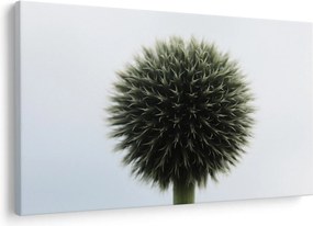 Egy viráglabda képe (90x60 cm)