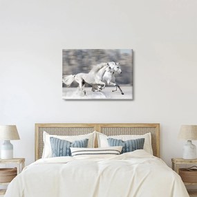 Kép - Fehér lovak télen (70x50 cm)