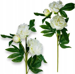 Bazsarózsa Művirág Peonie Váza