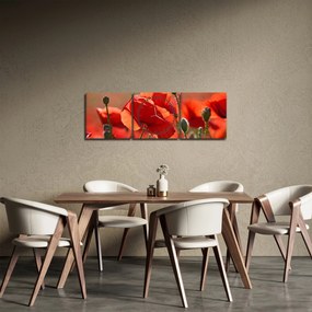 Pipacsok képe (órával) (90x30 cm)