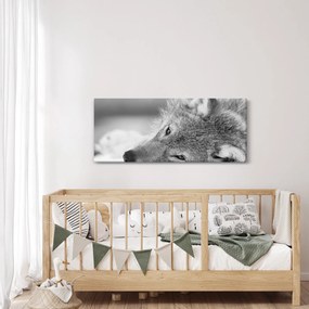 Kép - Farkas, fekete-fehér (120x50 cm)