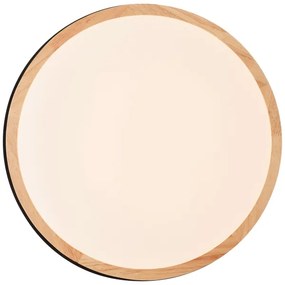 Brilliant - LED Dimmelhető mennyezeti lámpa BAARLO LED/24W/230V átm. 35 cm fekete