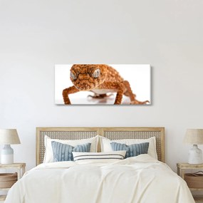 Gyík képe (120x50 cm)