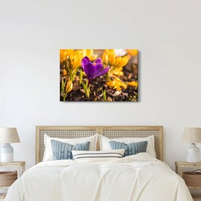 Lila virágok képe (90x60 cm)