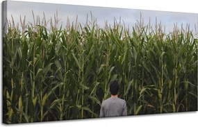 Vászonkép Természet Kukoricamező 120x60 cm