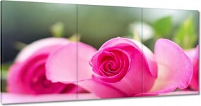 Vászonkép 120x60 Nőnap Ajándék Love