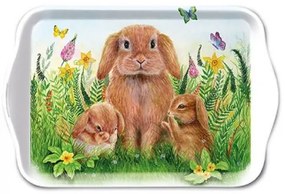 Húsvéti nyuszis műanyag kis tálca Rabbit Family 13x21cm