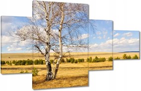 Festmények 130x80 Nyírfa a mezőn Tájkép