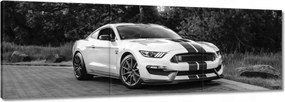 Vászonkép 90x30 Sportos Ford Mustang