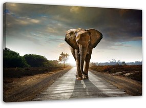 Gario Vászonkép Vándorló elefánt Méret: 60 x 40 cm