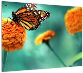 Egy pillangó képe (üvegen) (70x50 cm)