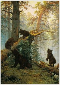 Poszterek 70x100 Reggel a fenyőerdőben