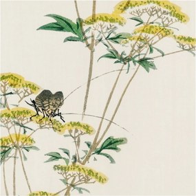 Dekoratív fotótapéta Falra Könnyű Összeszerelés Virágok természet 250x250 Ragasztó