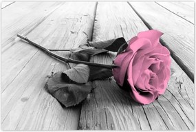 Poszterek 120x80 Rózsa világos deszkákon