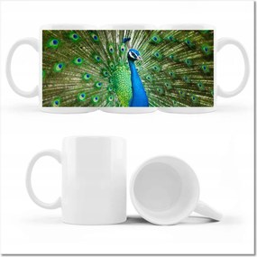 Páva fényképes bögre a párzási időszakban