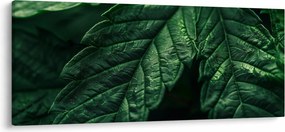 Kép - A lap részletei (120x50 cm)
