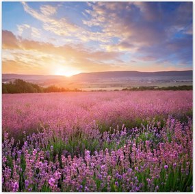 Poszterek 30x30 Csodálatos naplemente