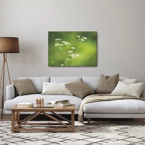 Egy százszorszép képe (70x50 cm)