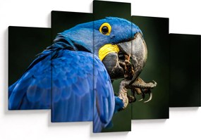 Papagáj képe (150x105 cm)