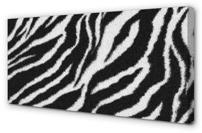 Canvas képek zebra szőrme 100x50 cm