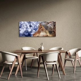 A farkas képe (120x50 cm)