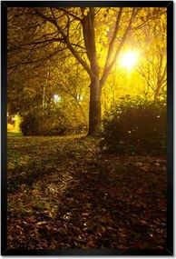 Poszterek keretben 40x60 Park éjszaka