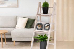 Ékszertartó szekrény tükörrel 21 x 15 x 35 cm