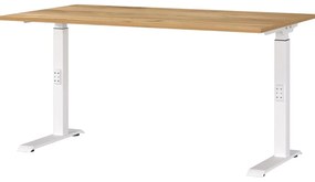 Íróasztal állítható magassággal, tölgyfa dekoros asztallappal 80x140 cm Downey – Germania
