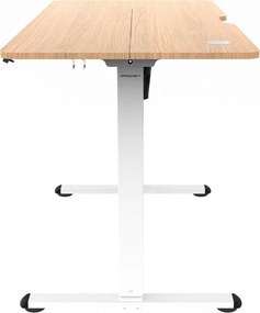 ERGO karbon állítható magasságú íróasztal 120 × 60 cm