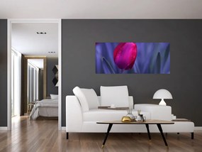 Tulipán bimbó képe (120x50 cm)