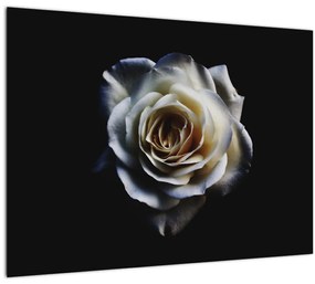 Fehér rózsa képe (70x50 cm)