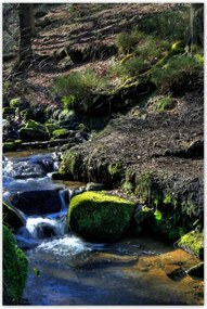 Poszterek 80x120 Hegyi patak