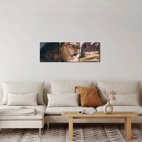 Egy fekvő oroszlán képe (órával) (90x30 cm)