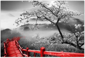 Poszterek 200x135 Virágzó cseresznye Japán