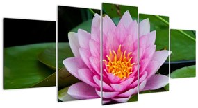 Modern kép - virágok  (150x70cm)