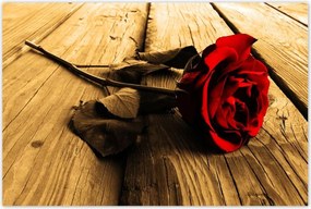 Poszterek 120x80 Rózsa szépia deszkákon