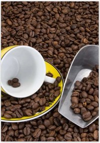 Poszterek 70x100 Természetes kávé szemes