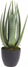 Mű Aloe Vera Cserépben Zöld Cserepes Virág 45 CM Ablakpárkányra