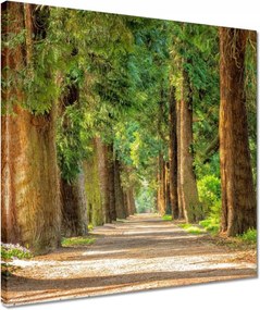 Vászonkép 40x40 Tájkép