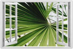 Poszter 60x40 Pálmalevél Levél