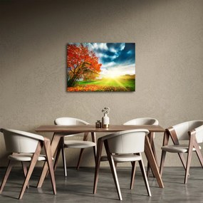 Napsütésben fürdő táj képe (70x50 cm)