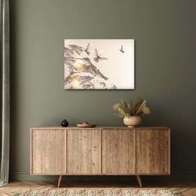 Kép - Kolibri (70x50 cm)